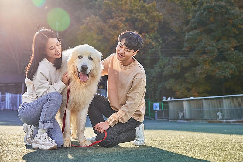 반려가족감정코칭지도사